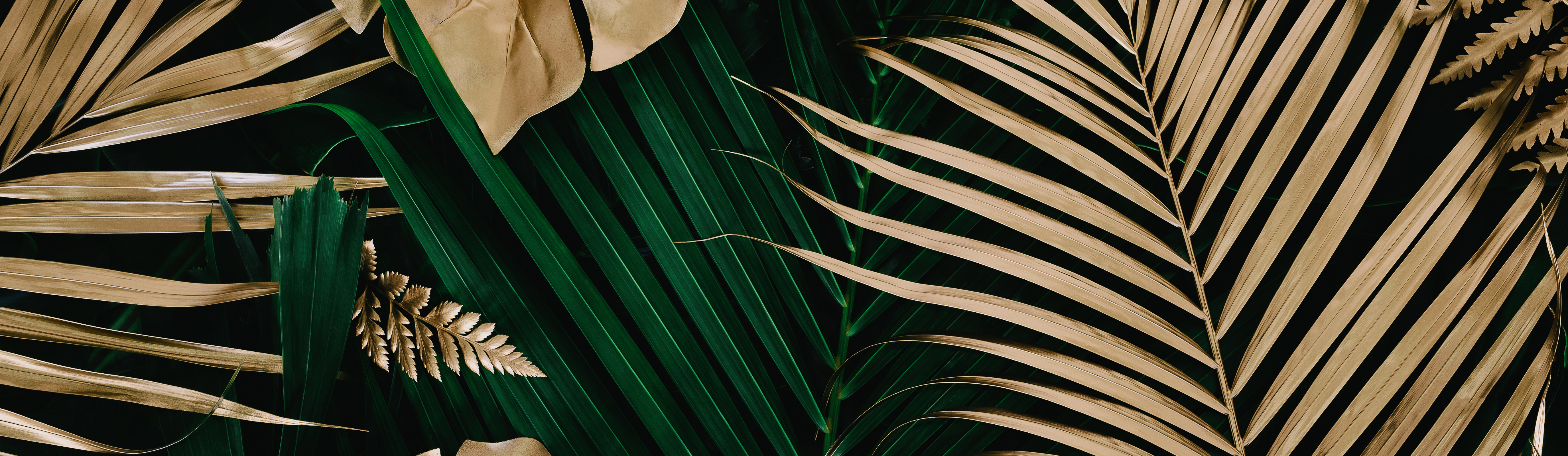Foglie di palma